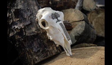 Різне Різне